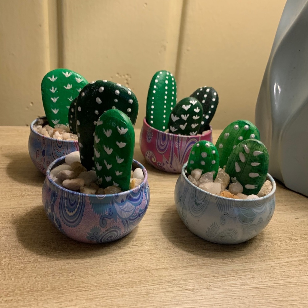 Original Cactus Decor 🌵